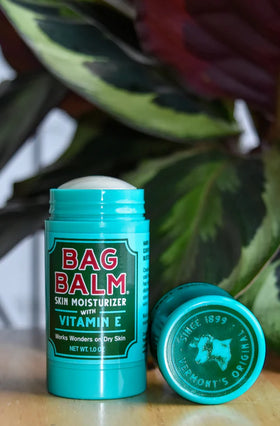 Skin Moisturizer Balm Stick with Aloe Vera - Bag Balm